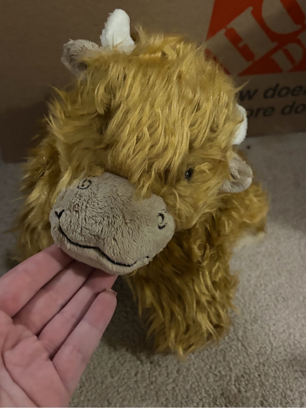 Jellycat Truffles Highland Cow Pillow Retired 13” New Without hang tag